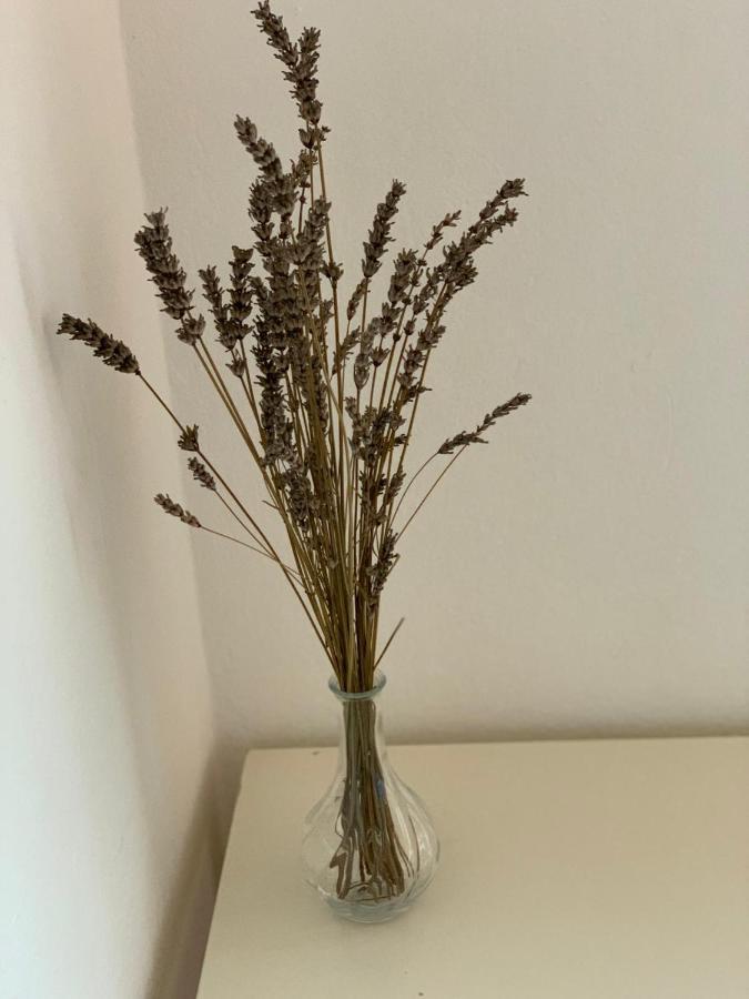 Danijela Apartman Mali Lošinj Kültér fotó